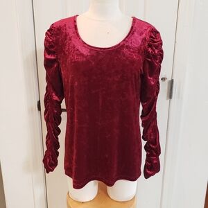 The Pyramid Collection Velvet Blouse with Ruched Sleeves - Rich Burgundy